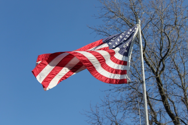 US Flag in Breeze of Spring